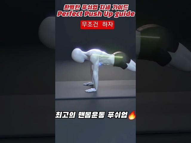 Hoe to the Perfect Push Up,  푸쉬업의 정석 #pushups #pushup #pushupchallenge #푸쉬업 #푸쉬업챌린지 #팔굽혀펴기 #shorts