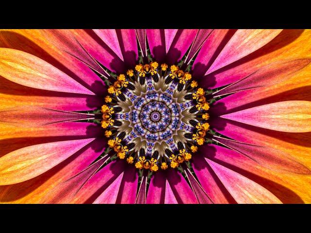 The Splendor of Flowers Kaleidoscope Video Beta v1 - 75 Minutes of Peace - A Jubilee for All Nations