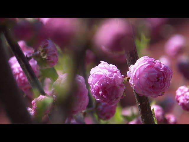 Der besondere Ort: Bibelgarten in Berching