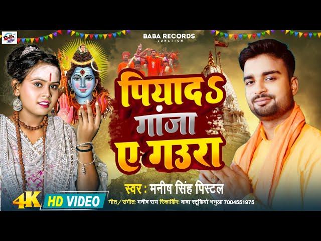 पिया द गांजा ये गउरा | new bolbum song | Manish Singh pistal bolbum song | piyad ganja ye gaura