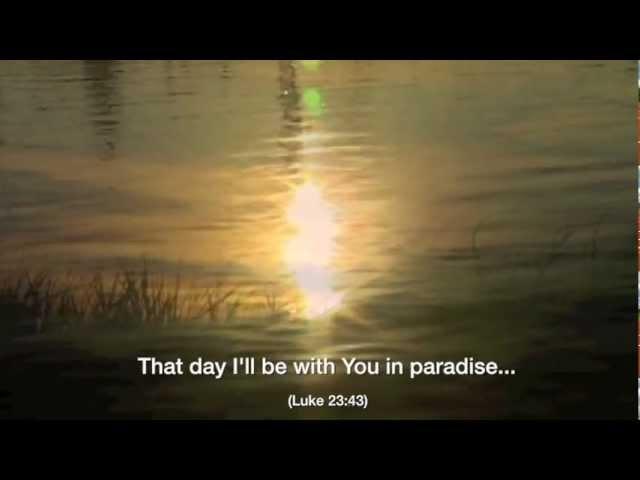 Michael Schroeder - Paradise