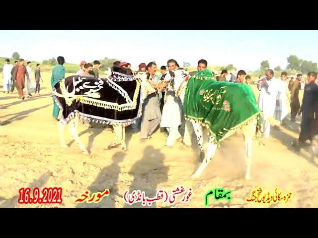 Hamza Sky Video Fateh Jang