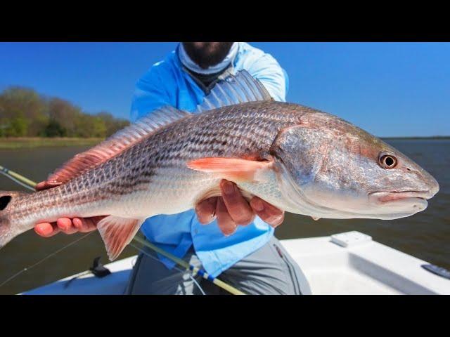 Catch n' Cook Delicious Redfish Right On the Boat!