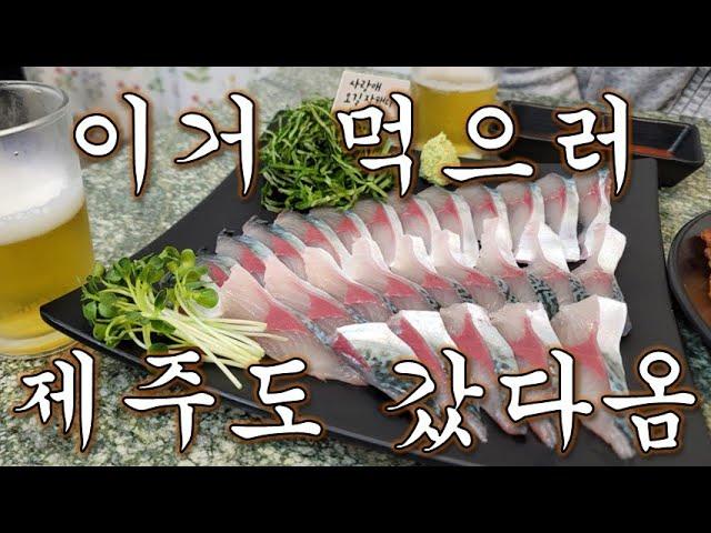 [자유의사 맛집] 진짜 여기 와서 고등어 먹으러 제주도 비행기 티켓끊음. 제주 사랑애.