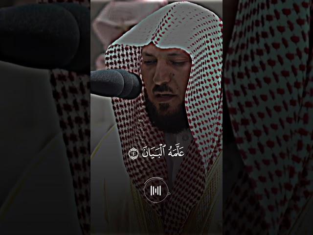 ماهر المعيقلي - سورة الرحمن - تلاوة خاشعة