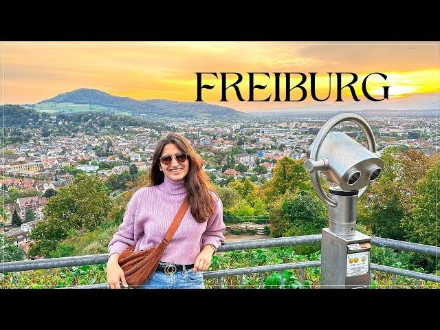 The Most Beautiful City in Germany: FREIBURG | Visiting The Black Forest Region | SOLO in GERMANY