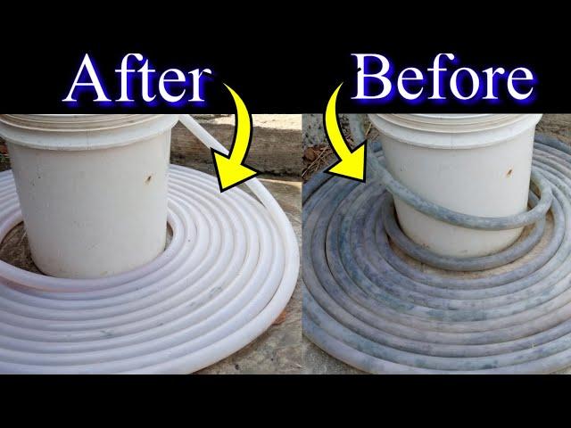 How to remove Algae from Garden pipe | cleaning Garden pipe | Pipe gardening ideas | Household pipe