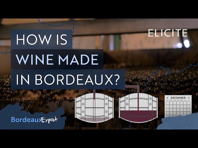 Red Winemaking In Bordeaux