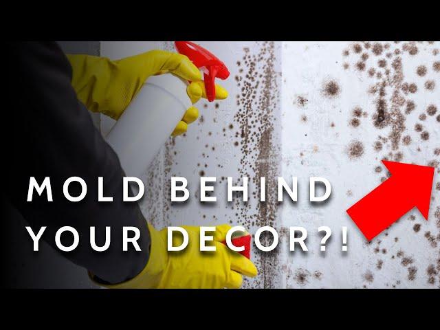 This Simple Fix Can Save Your Artwork and Mirrors from Mold Damage...