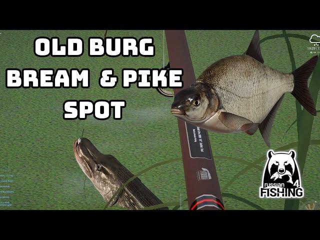 Bream + Pike Old Burg | Russian Fishing 4