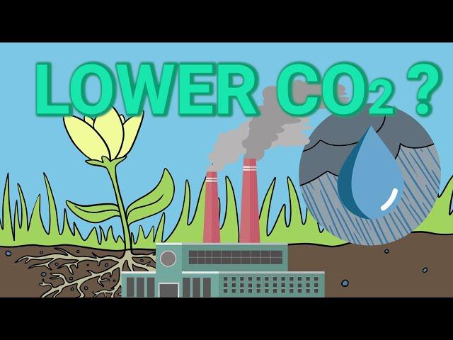 CO2 Drawdown - Where Should the Water Go?