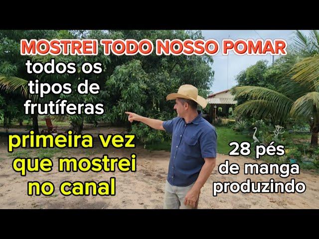 TUOR PELO QUINTAL DO SÍTIO. MOSTREI TUDO