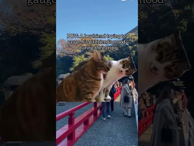 Couple trip #catmemes #japantrip #coupletravel