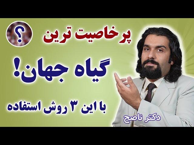 از پادرد و کمردرد گرفته تا چربی خون و فشار و آلزایمر بااین گیاه پرخاصیت. دکتر ناصح