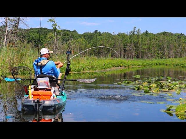 This Michigan Fishing is DIFFERENT