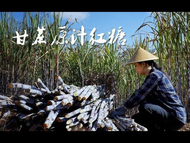 Making more than 100 jin of brown sugar with more than 2,000 jin of sugarcane took us 2 days.