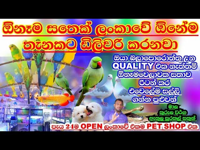 Aquarium tour!!! | pet shop srilanka #slanush | fish farm sri lanka