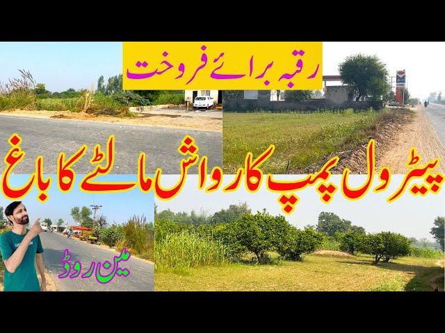 Agriculture and Commercial Land for Sale l Raqba for Sale in Punjab | Zari Zameen for Sale