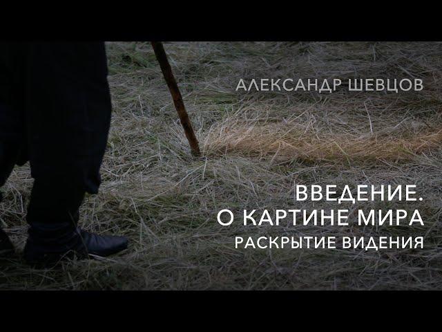 О видении, картине мира. Раскрытие видения | Александр Шевцов