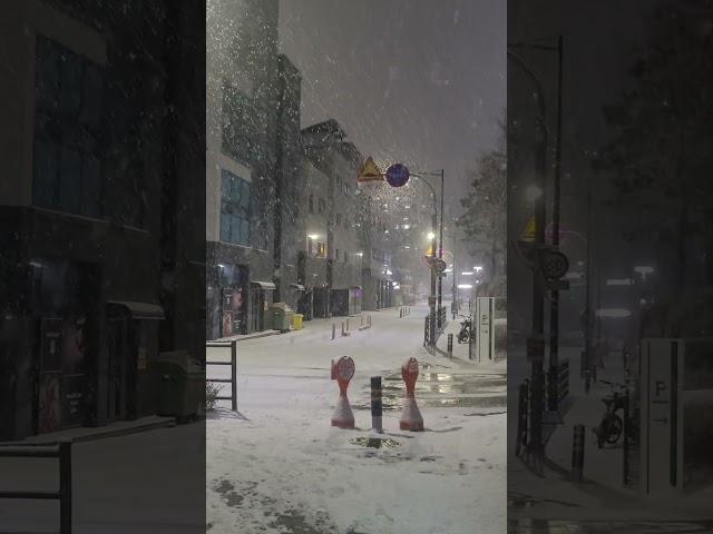 잠 못드는 밤 눈은 내리고