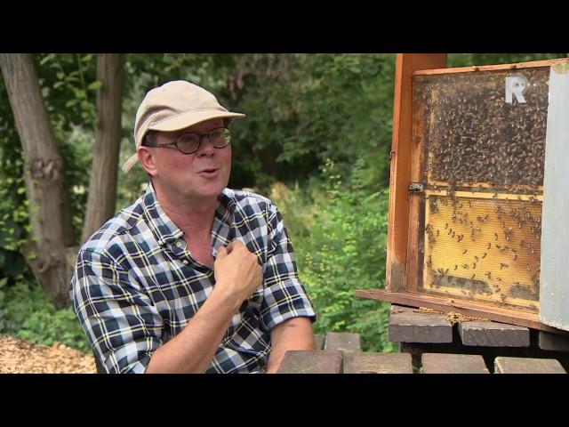 Gino Groenewegen: Bijen houden als hobby wordt steeds populairder