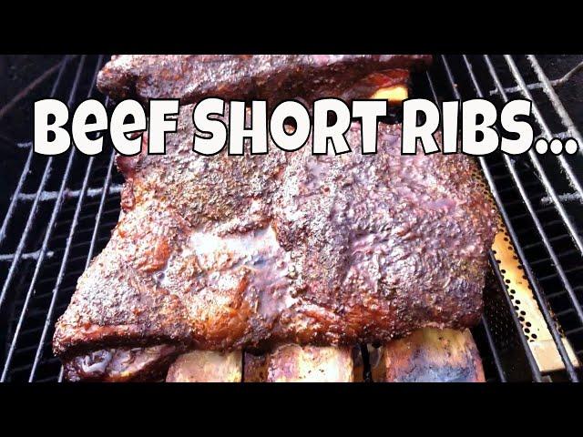 A Beginners Guide to Smoking Beef Short Ribs!