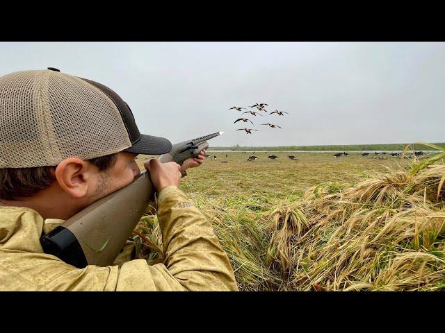 Goose Hunting Opening Day! (Early Season 2024)