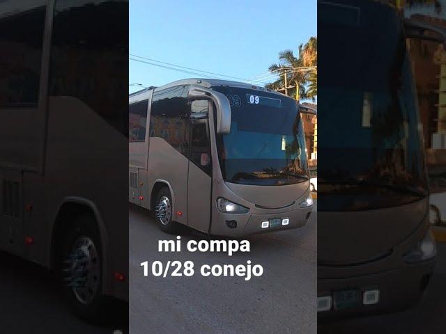 mi compa el conejo