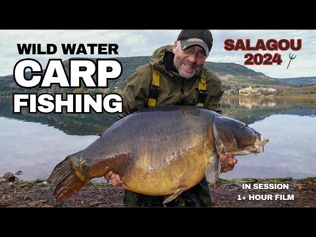 Wild water CARP FISHING - Salagou 2024