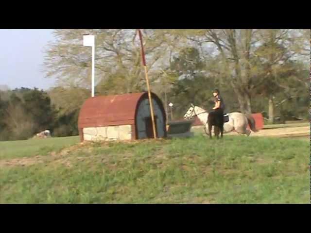 Snowy Schooling Cross Country