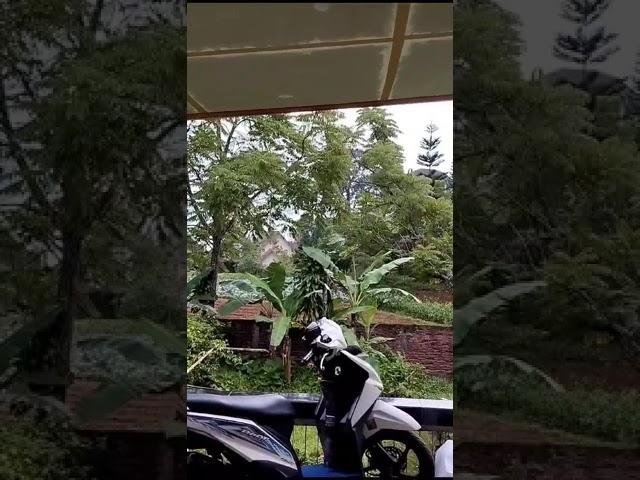 sarapan cil
