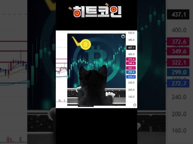 비트코인 급등코인 찾는 방법 알려드립니다 (feat. 폴리매쓰)