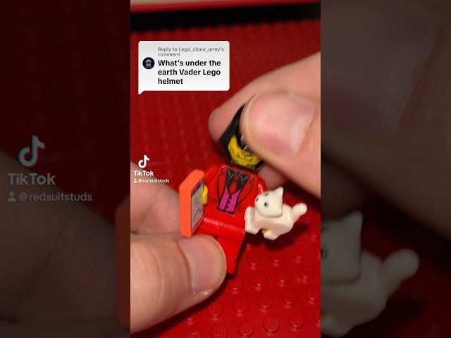 Minifigure Face Reveal 