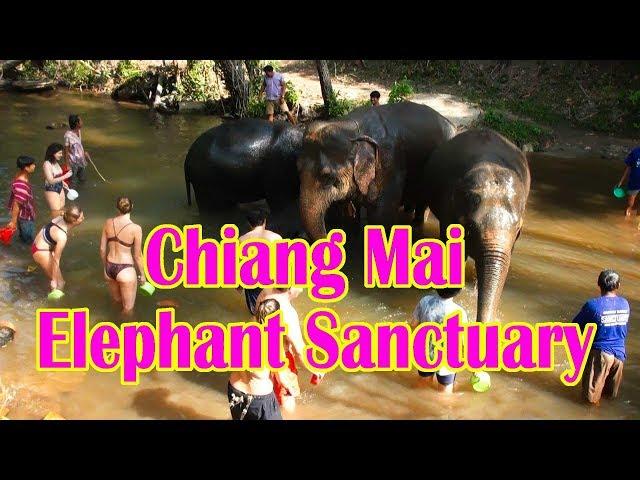 Chiang Mai Elephant Sanctuary - Half Day Tour, Thailand