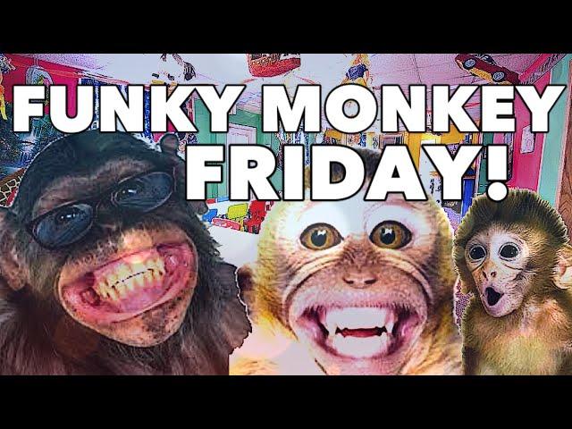 FUNKY MONKEY FRIDAY FULL SONG