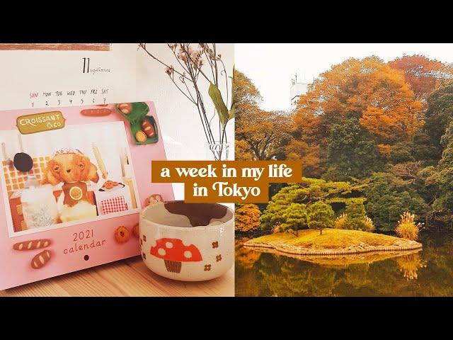 A week in my life in Tokyo | Autumn Picnic with @rainbowholicTV & @omunomu