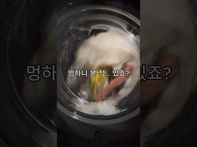 드럼세탁기 돌리기