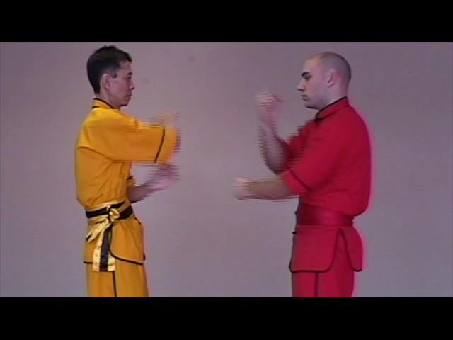 Wing Chun: Lesson 8- Beginner Drills