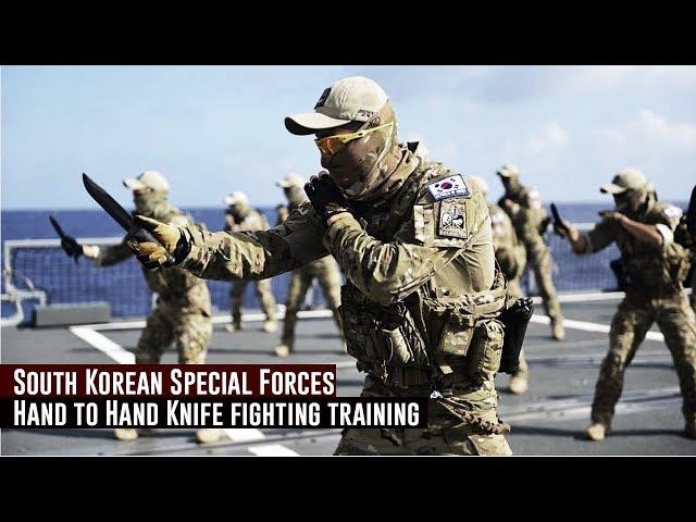 South Korean Special Forces / Hand to Hand Knife fighting training