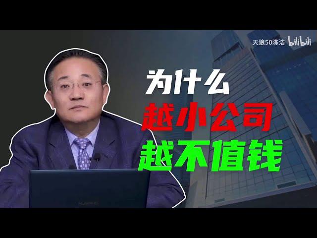 陈浩 ：为什么越小公司越不值钱