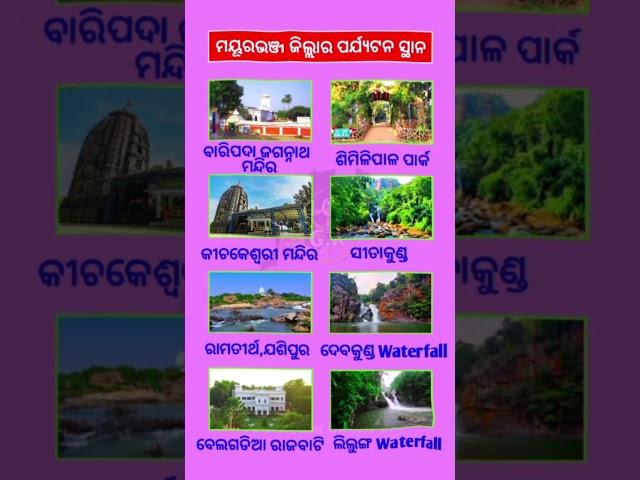 Mayurabhanja Distric Picnic Spot️#travel #picnic #shorts #odisha #trending