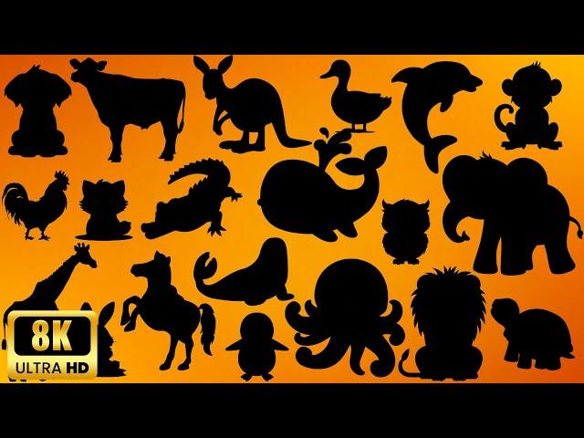 Guess the Shadow of the Animals! | Fun Shadow Quiz Game for Kids | Learn Animal Names