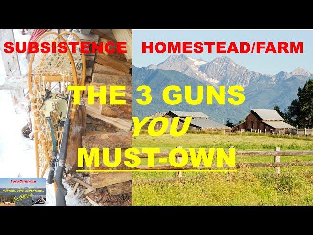 The 3 Subsistence/Homestead/Farm GUNS You MUST OWN