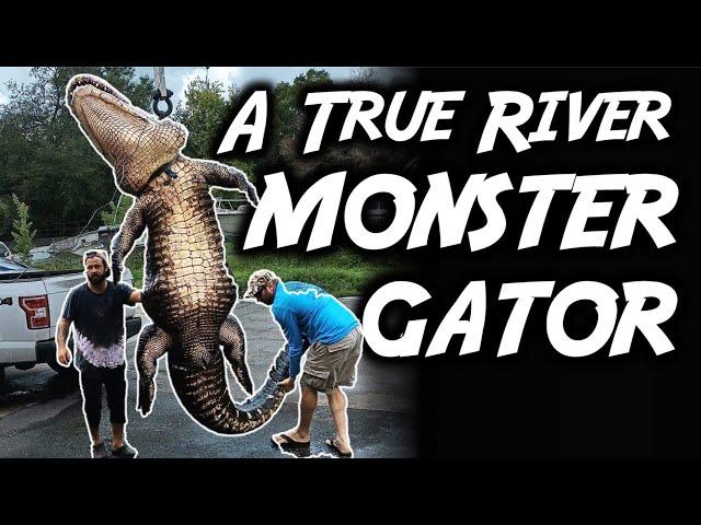 BIGGEST ALLIGATOR EVER HARVESTED ON VIDEO?!? Florida Public Land Gator Hunting (SNS #11)