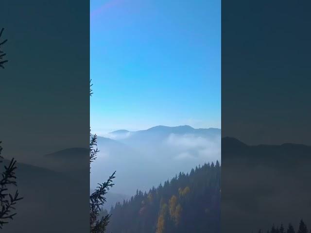 Carpathians - Mountain Music Video