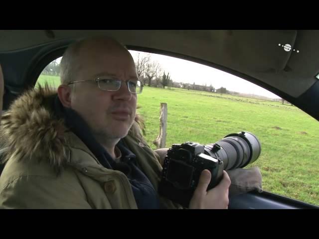 Wildlife-Fotografie unterwegs - Blende 8 - Folge 62