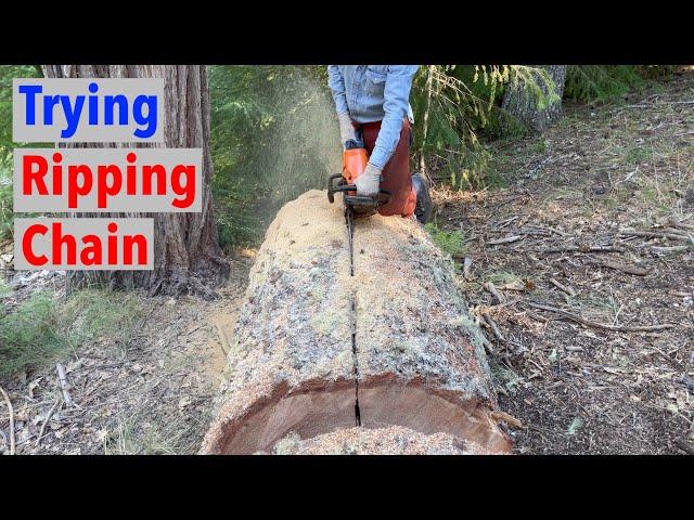 Chainsaw Ripping Chain vs Square Ground Chain