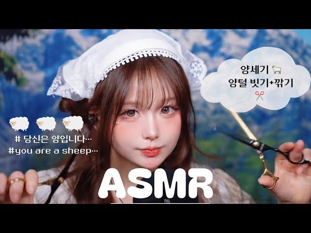 [ ASMR ] 님은 이제 양입니다•••양세기 + 양털 빗고 깎기 ️.. ️숲속 물소리 새소리 counting sheep , nature relaxing sound• 좌우음향