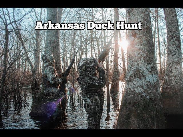 Duck hunting in Stuttgart Arkansas. From flooded fields to flooded timber we chased birds all over