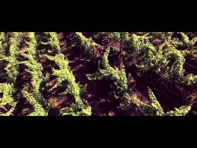 Duca di Dolle Video Tour